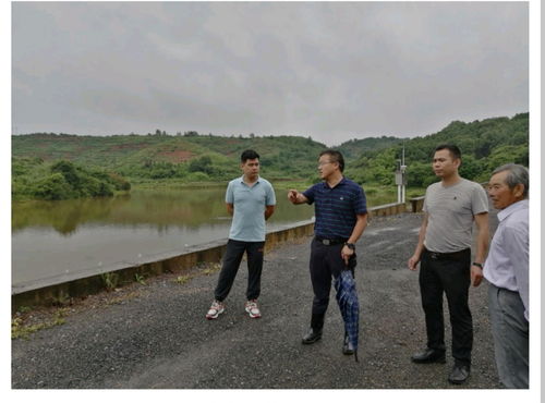 青阳县泥石流最新动态，关注灾害，守护家园安全通知