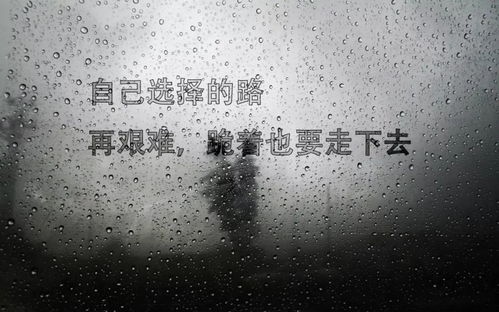 沐瑾励志语录，生命不息，追梦不止