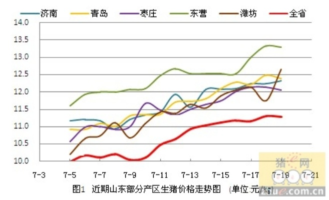 潍坊猪肉最新价格走势分析，今日行情揭秘！