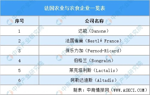 法国地理模型公司排名及行业影响力深度剖析