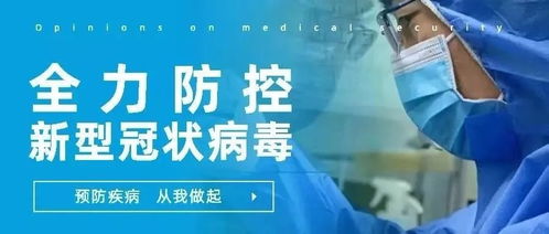 洪雅疫情最新通报，全力应对，守护家园安全