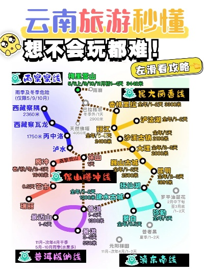 春运旅游指南，深度探索云南的无限魅力