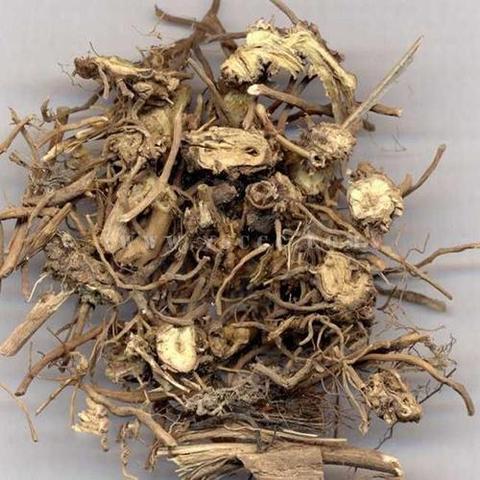 辽宁中药茶行业领军者榜单揭晓，公司排名探寻！