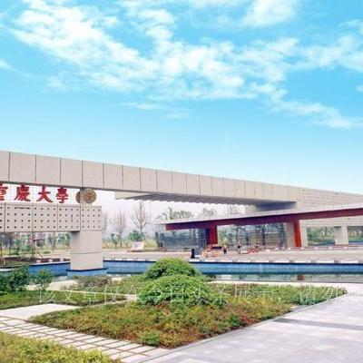 全球心理学类大学排名及其影响力深度解析