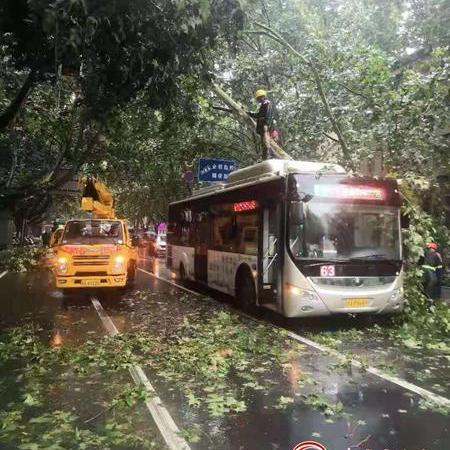 郑州降雨实况更新，城市雨情监测与应对策略