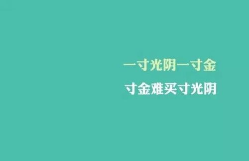 高级励志语录，简短言辞，激发无限力量