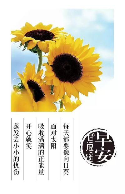 励志早安温馨语录与美图分享