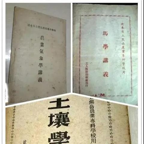 辽宁省农业教育璀璨明珠，揭秘农校排名前十榜单！