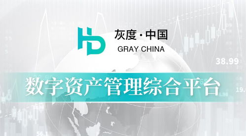 丹纳RS泵引领未来技术革新与行业趋势，最新消息揭秘！