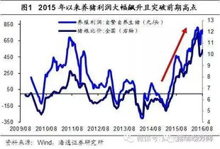 今日猪价最新售价及市场走势分析与预测报告出炉！