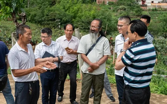 台湾扶贫新动态与显著成效，探索最新头条新闻