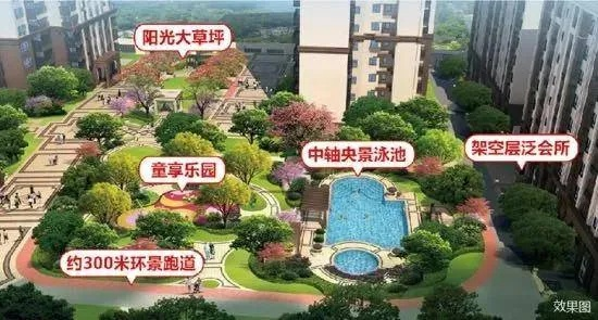 2025年5月12日 第29页