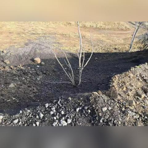 运城高义新闻聚焦，地方发展正能量，传递时代精神风采