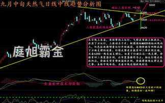 全球原油最新动态解析，市场消息、影响因素一网打尽！