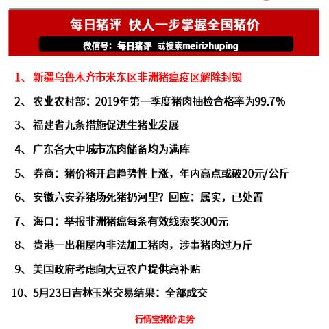 2025年5月12日 第26页
