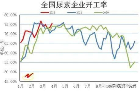 尿素最新官方报告发布，今日市场动态全解析