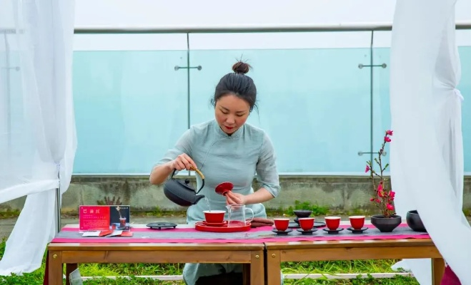 雨谷品茗指南，最新攻略带你探索茶的世界，尽享品茗乐趣