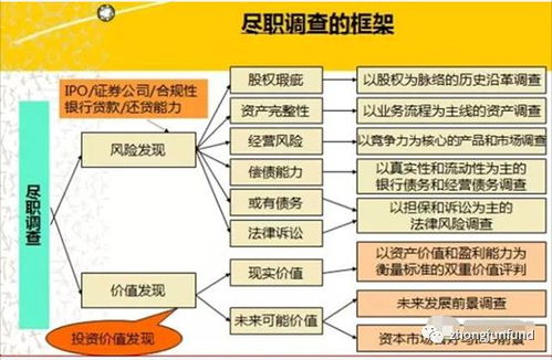 国内尽职调查公司权威排名榜，深度解析与权威榜单揭晓
