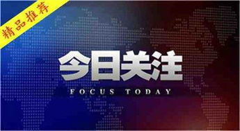 昆顿新闻今日综述，最新消息全解析