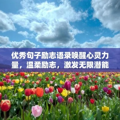 夏日语录中的励志配音力量，激发无限潜能的语音魅力