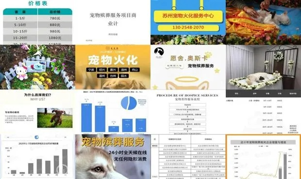苏州宠物民宿TOP10榜单揭晓，宠物的温馨家园盘点