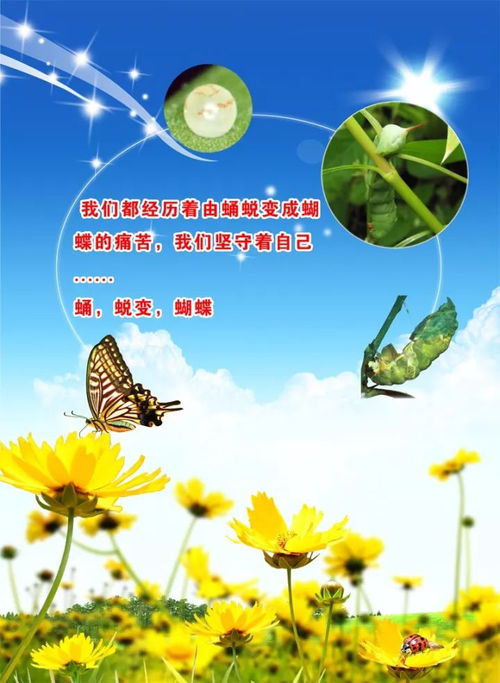塑造自信，燃烧激情，简短励志语录助你展现美好身材的力量