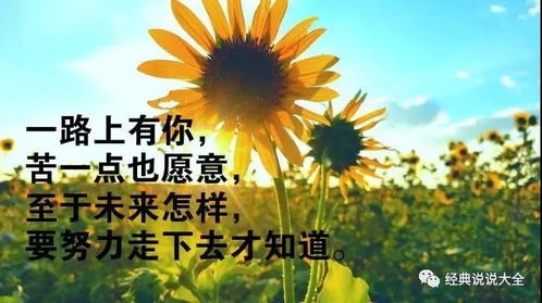 励志之花，生活中的激励力量