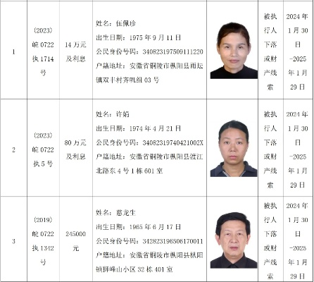 枞阳最新抢劫案件判决结果深度解析