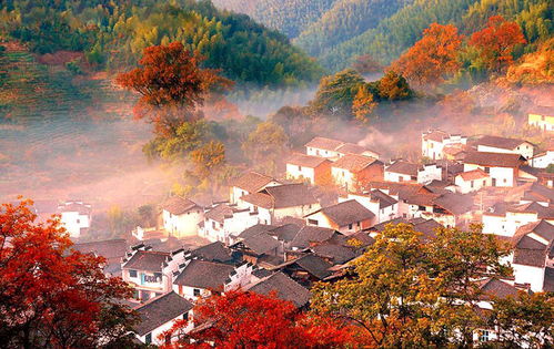 唐山婺源旅游攻略揭秘，北方璀璨明珠等你来探访！