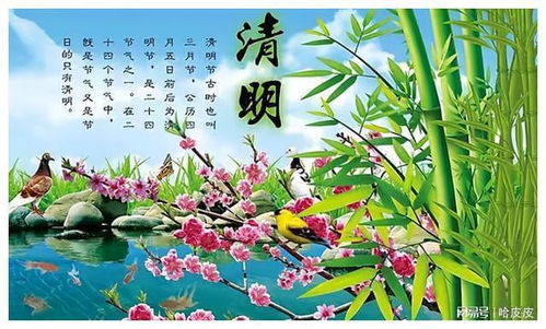 清明节歌曲盘点，用音乐缅怀与纪念逝去的亲人