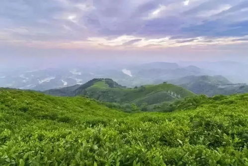 西北景区魅力探秘，十大必游胜地大盘点