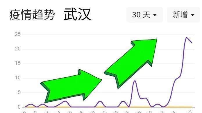 最新武汉疫情动态解析今日发布