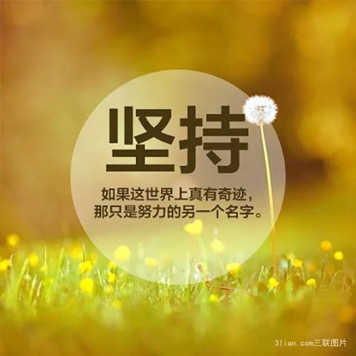 励志语录，标杆力量，引领前行之路