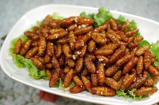蚕蛹烹饪宝典，美食博客教你制作美味可口的蚕蛹佳肴！