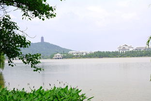 湖州吉安探秘，湖光山色间的绝美旅游攻略