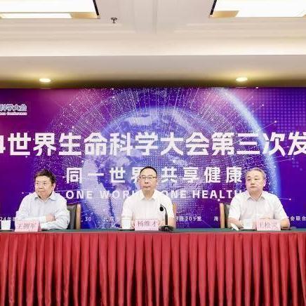 揭秘时尚前沿，2024冬季上衣最新流行趋势重磅来袭！