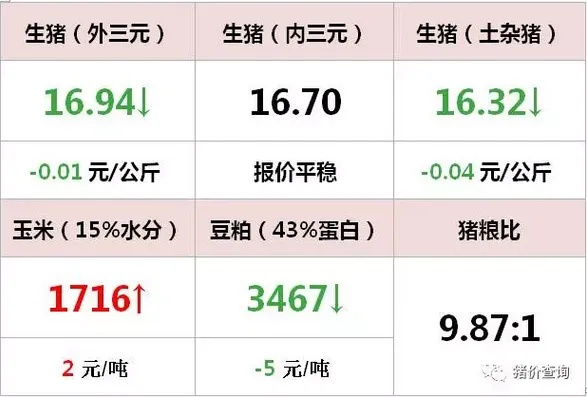 济宁今日猪价查询报告，最新行情速递