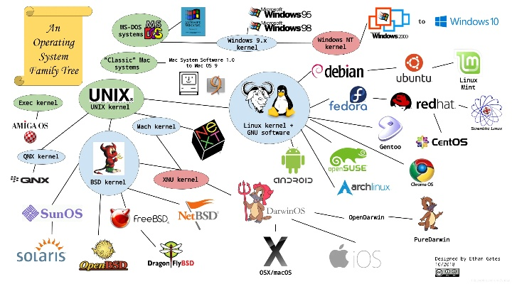 Linux系统全球排名及影响力解析