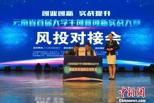 大丰新闻今日综述，最新消息全掌握