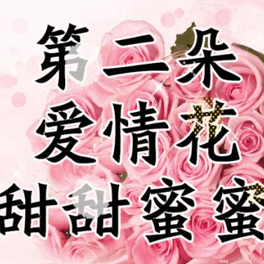 情人节浪漫瞬间图片大放送，百度收录精选美图呈现