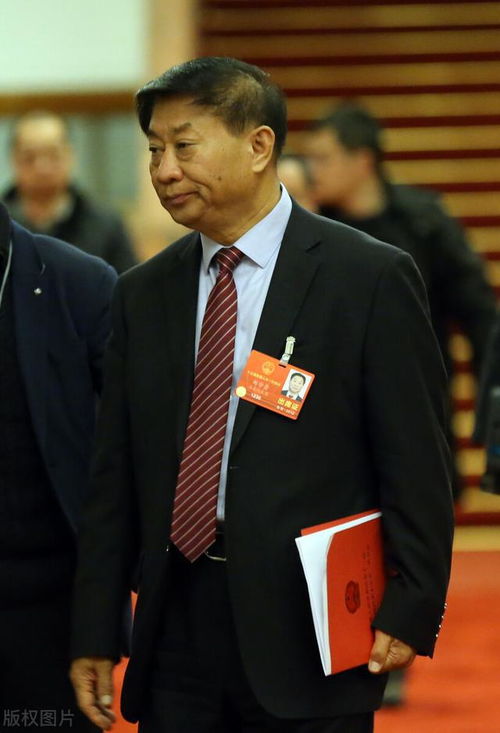 烟台蟑螂防治公司排名揭晓，专业消杀，守护家庭安宁