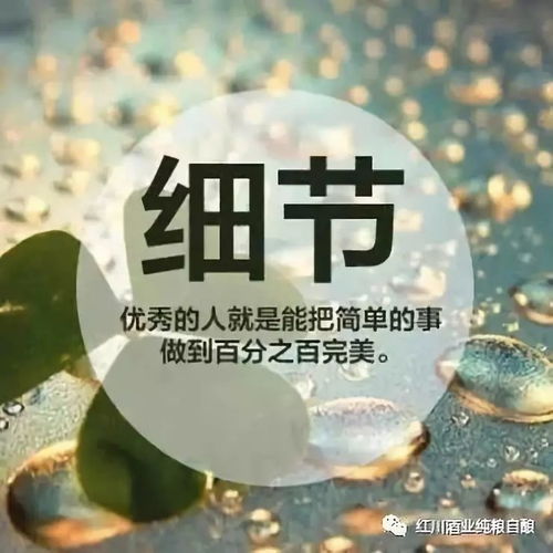 励志追梦力量，超越爱情语录，勇敢前行图片启示