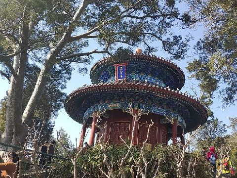 景山公园最新旅游攻略，探索与体验的乐趣之旅