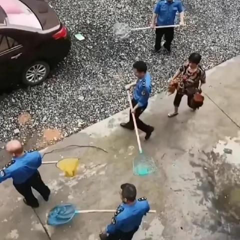 廉江最新动态，今日抓鸡消息汇总，关注不容错过