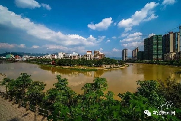 广东佛山岑溪最新头条新闻揭秘