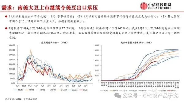 美豆粉期货今日行情深度解析，最新动态一览