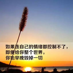 2025年5月17日 第48页