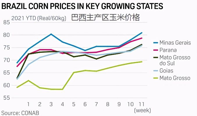 巴西石料价格走势揭秘，最新行情分析与预测