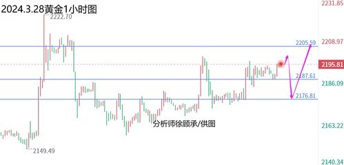 今日葫芦价格走势揭秘，最新报价及市场分析影响分析