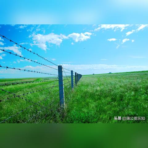 呼伦贝尔市安装公司排名及行业影响力解析